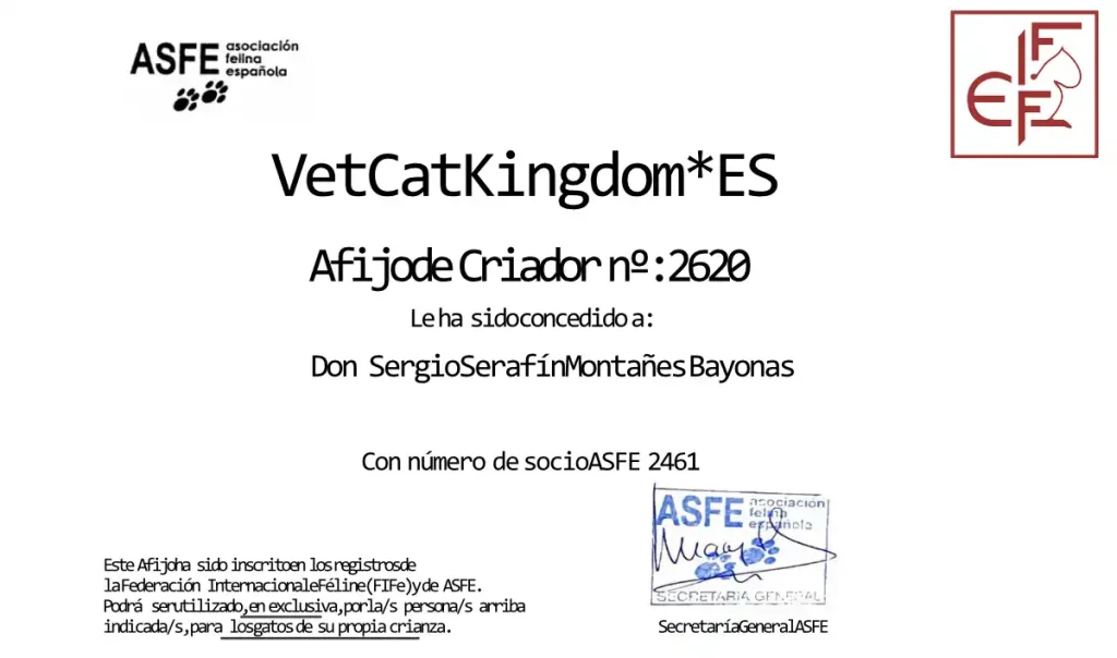 Acreditación oficial del afijo VetCat Kingdom*ES registrada en ASFE y FIFe